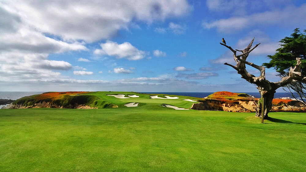 Golf's Greatest Trees LINKS Magazine