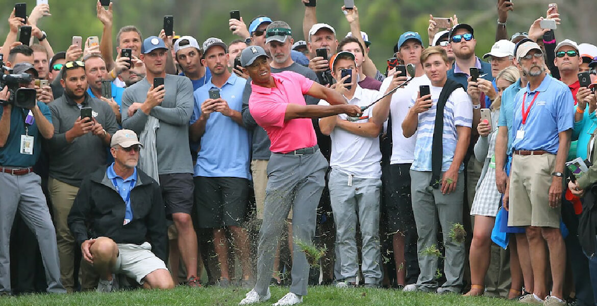 Tiger Effect