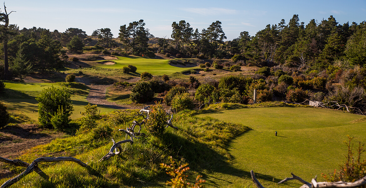 penultimate par threes