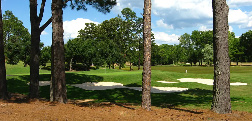 ole miss