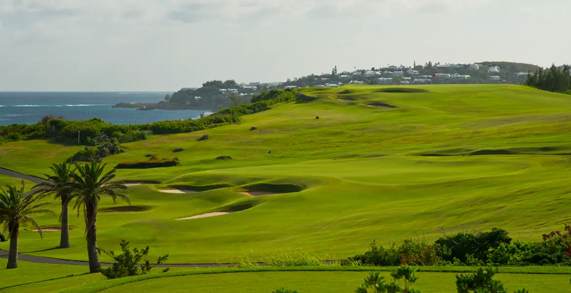 bermuda golf