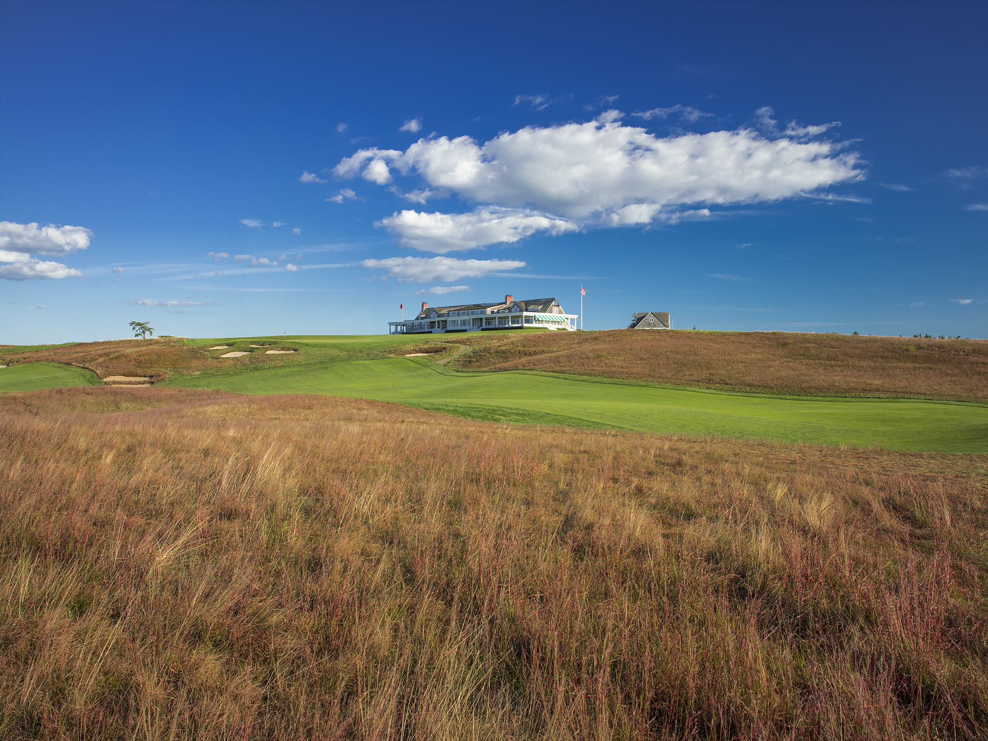 new york courses