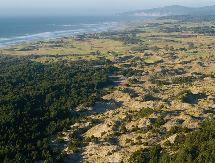 new bandon