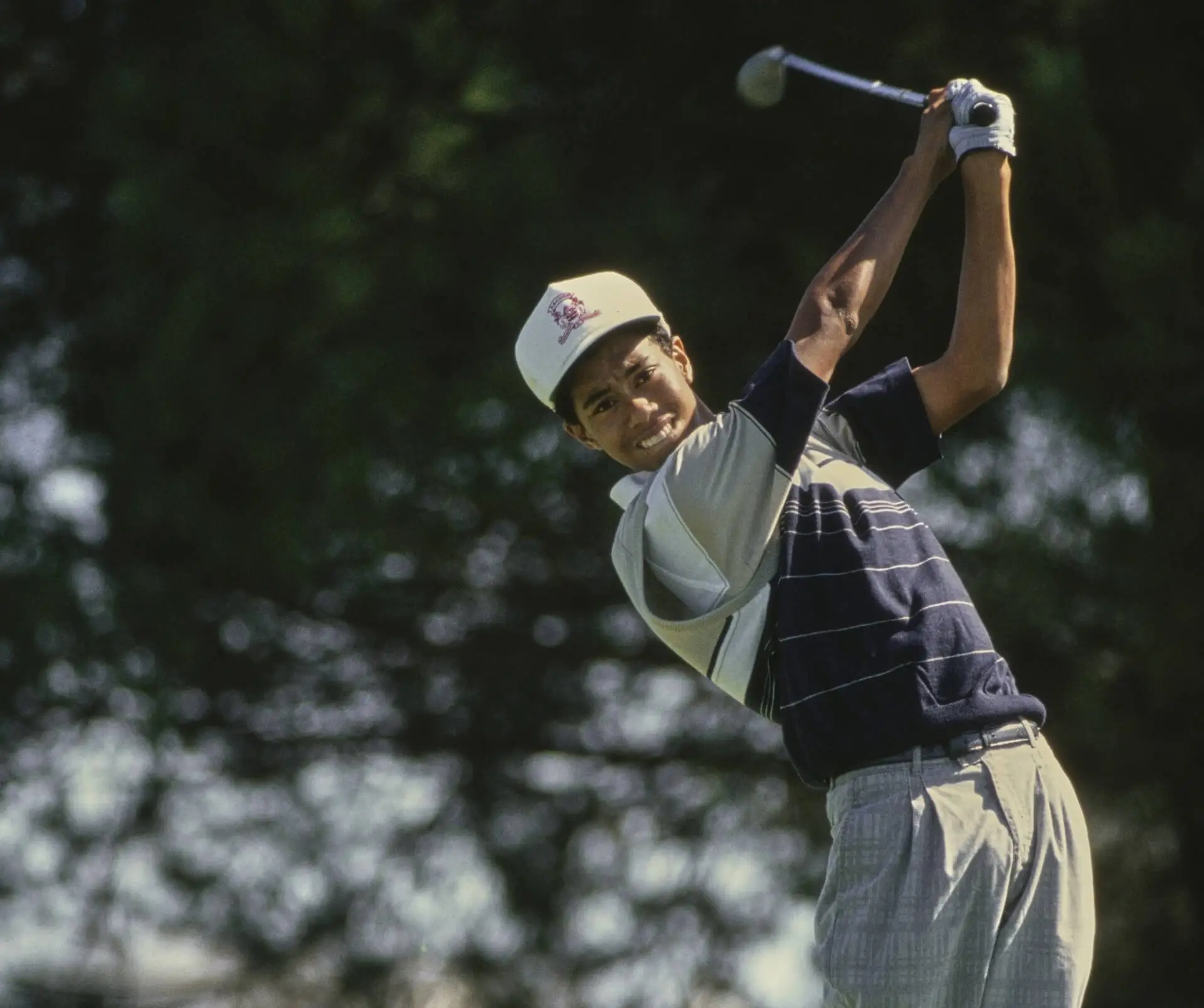 tiger