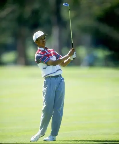 woods