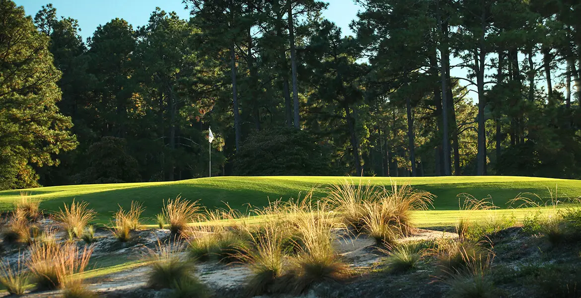 coore pinehurst
