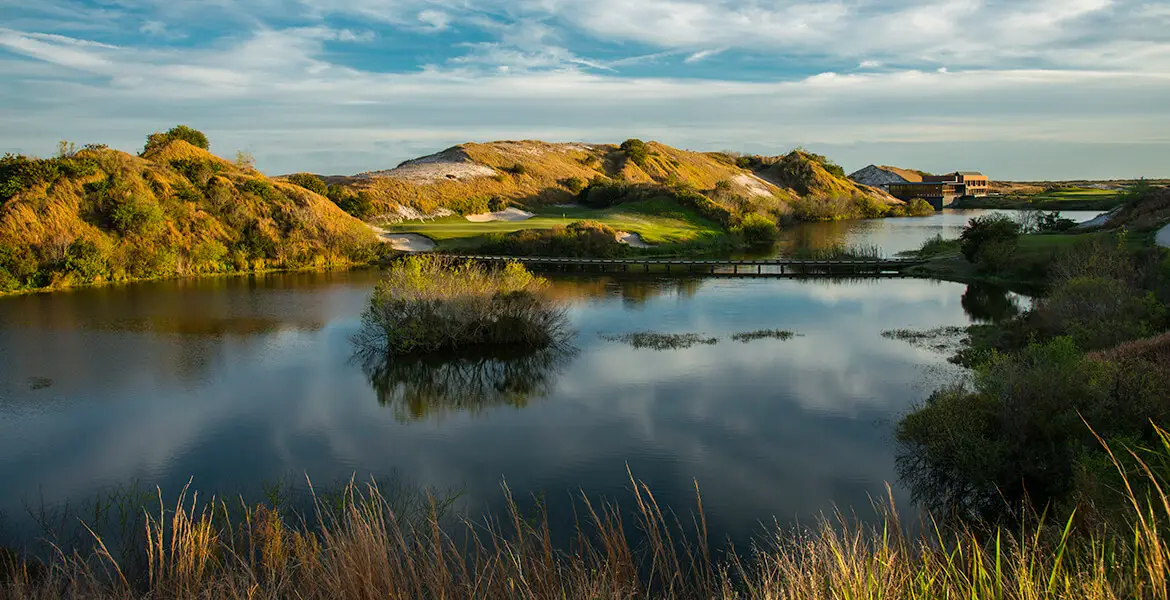 blue courses