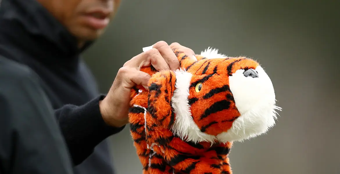 headcover