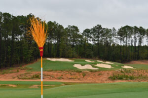 13-green-foreground-11-green-background