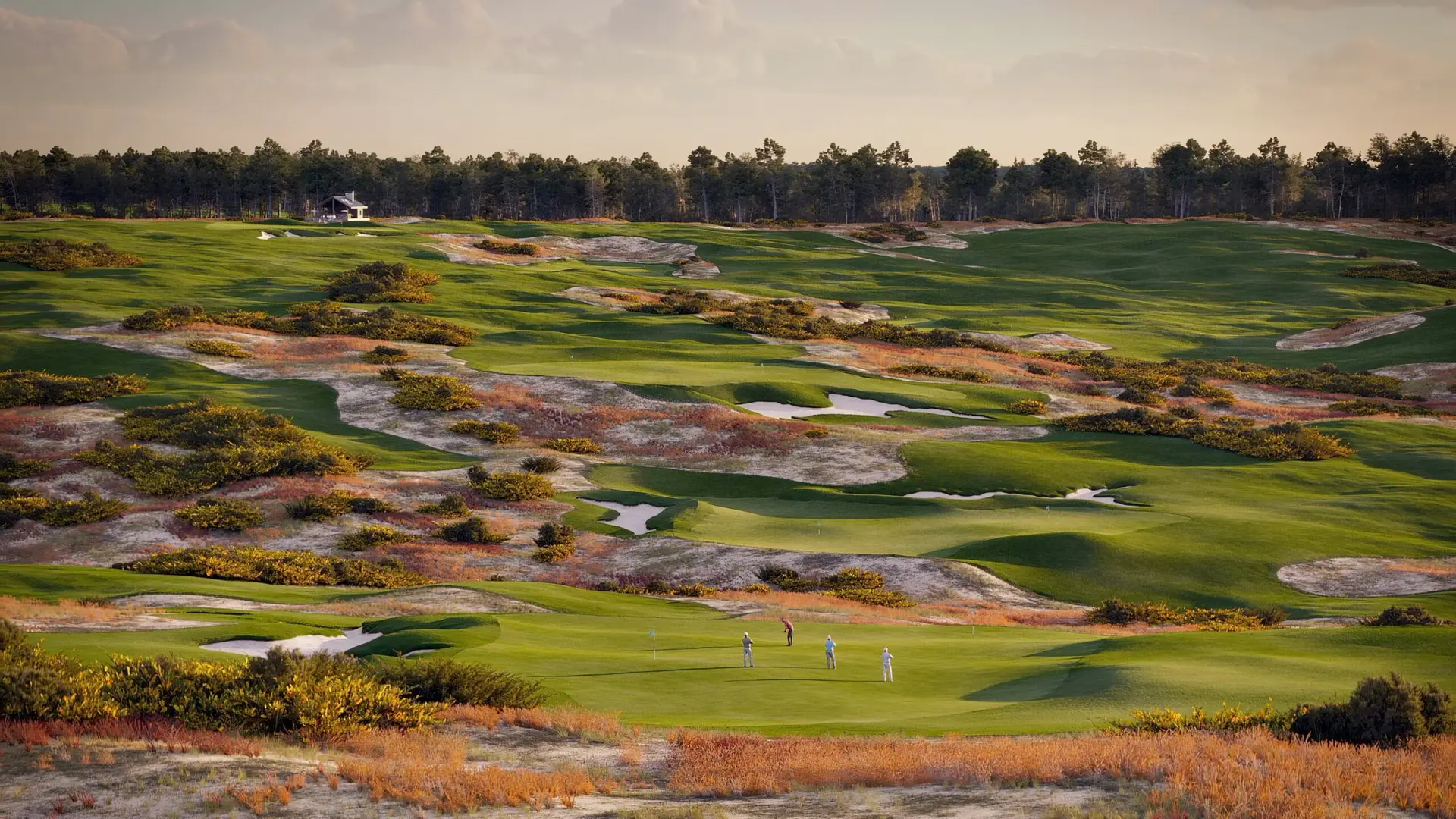 golf design firms