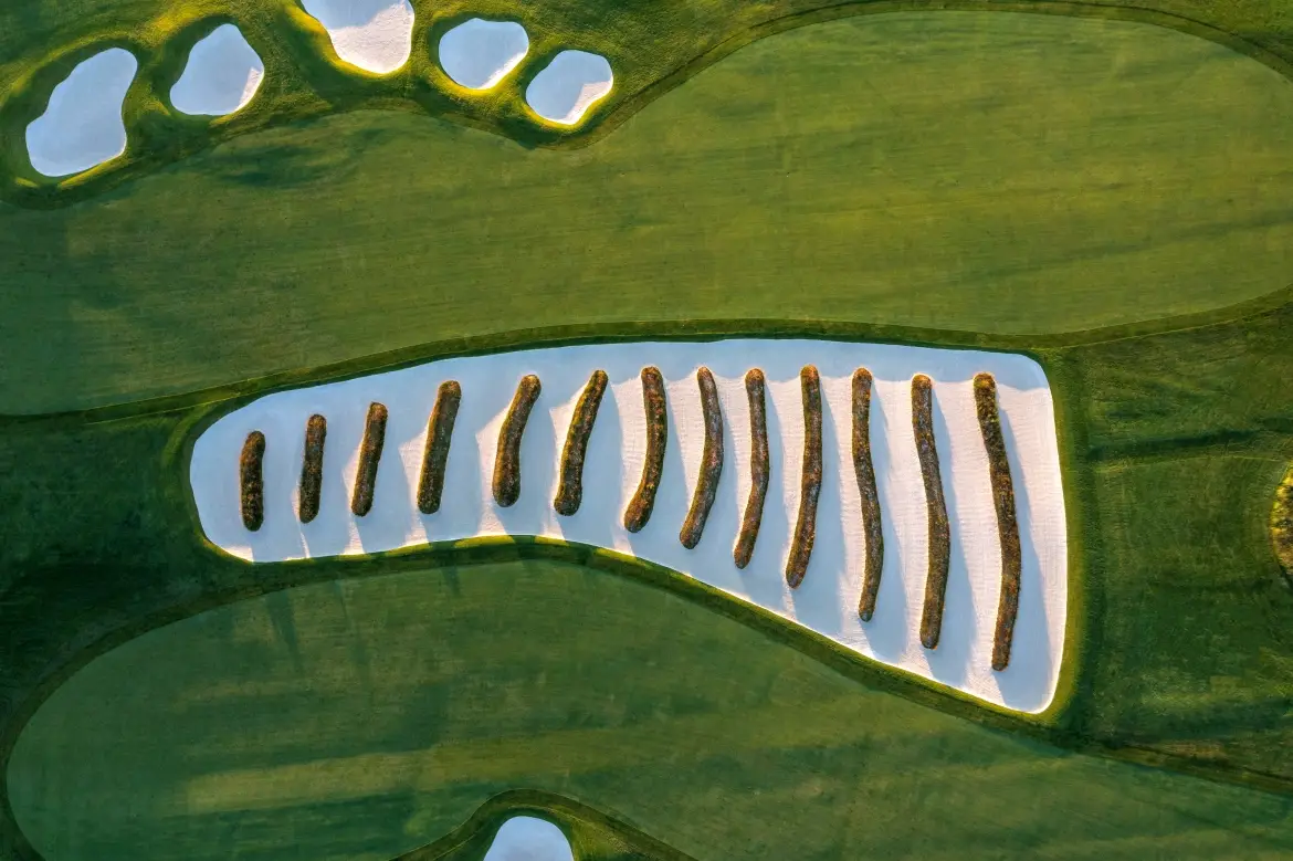 Oakmont renovation