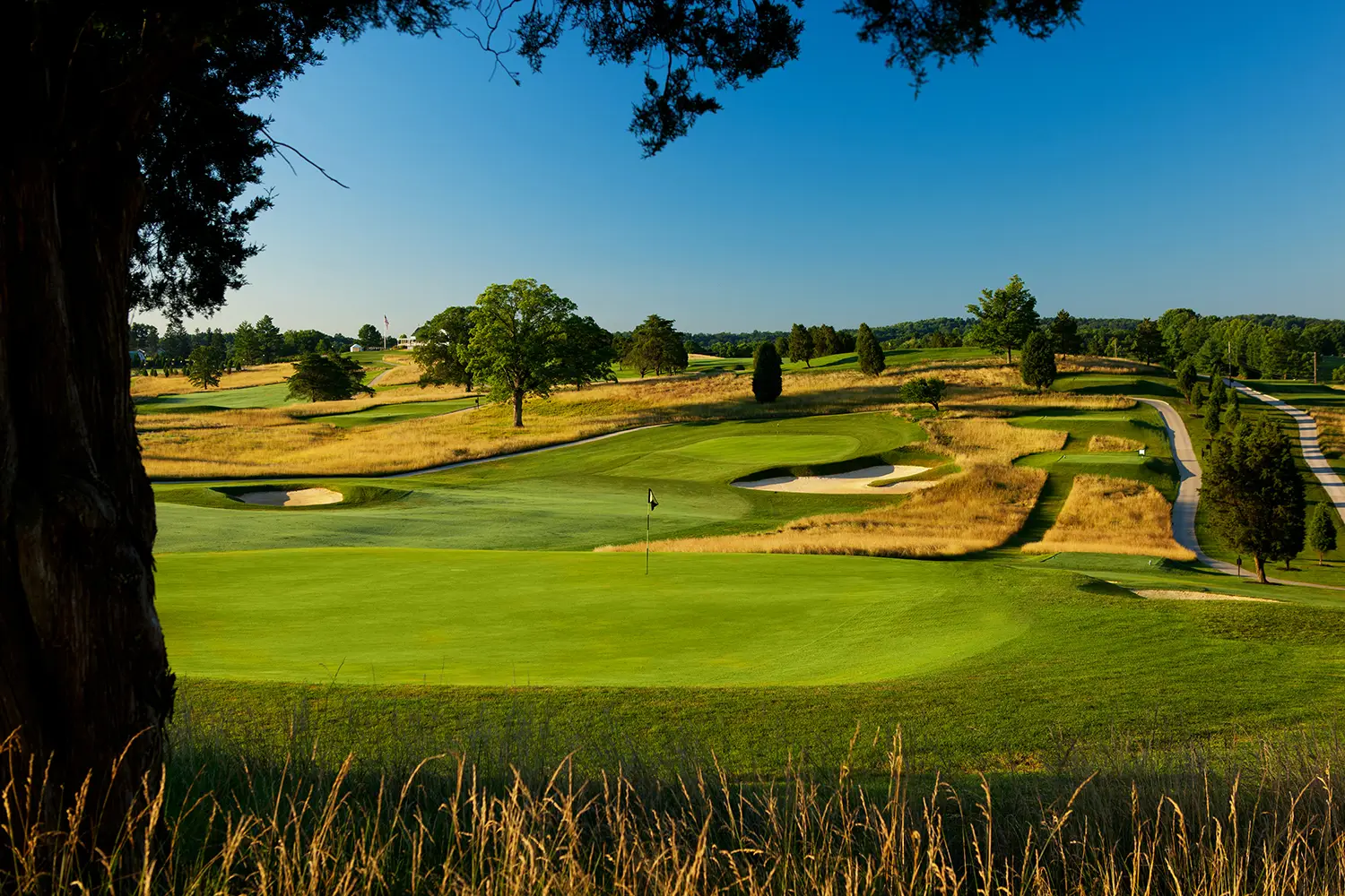 donald ross