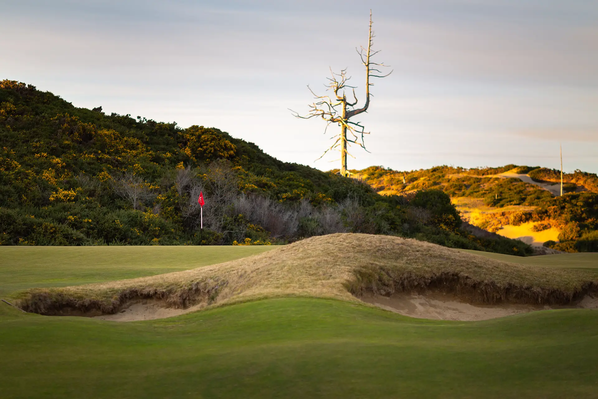 bandon dunes old macdonald