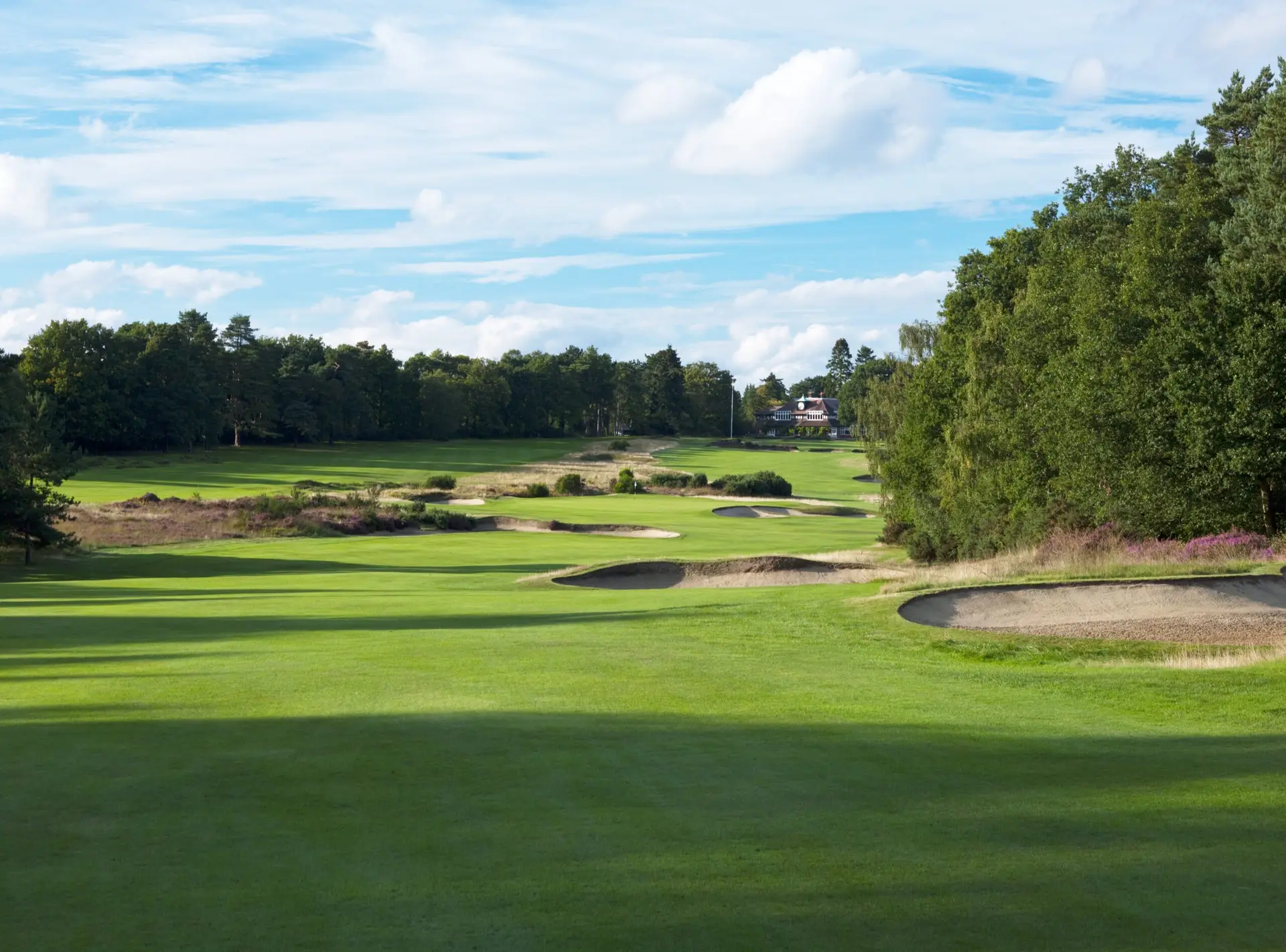 colt golf