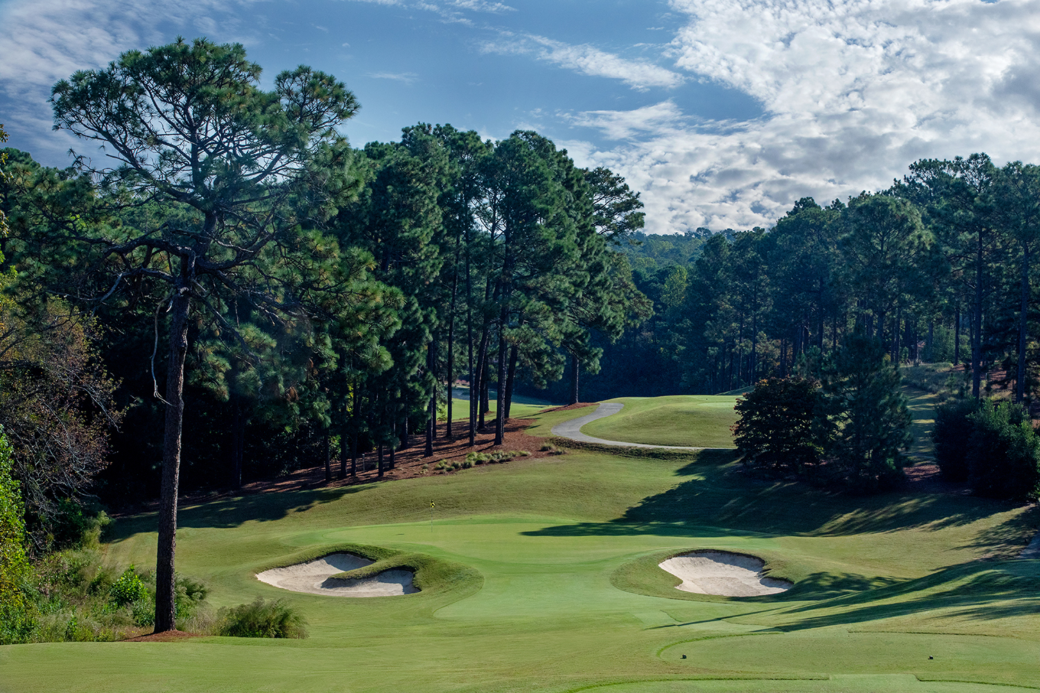 pinehurst no 6