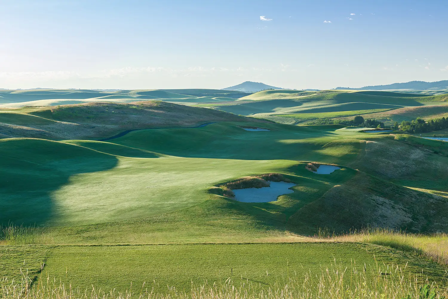 washington public golf