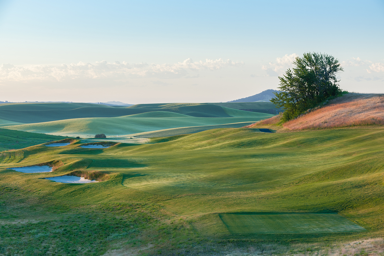 collegiate golf courses