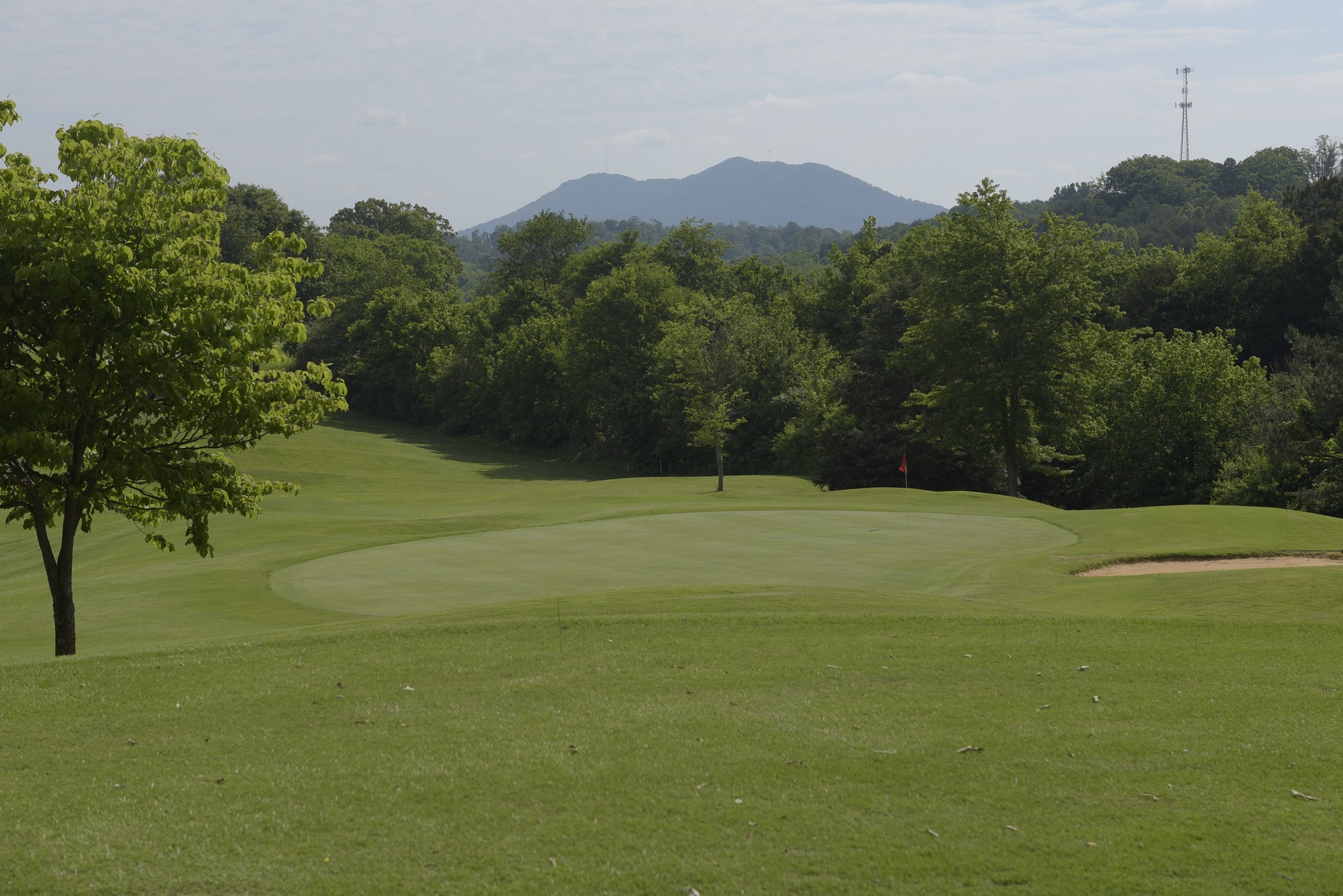 public us open golf