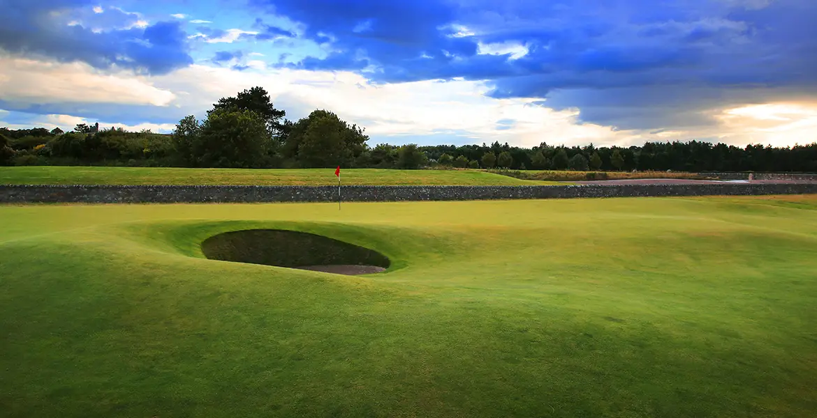 favorite bunker