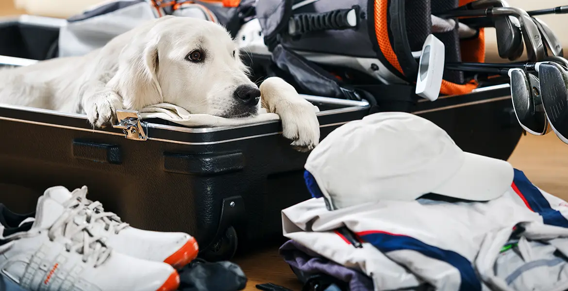 overseas links packing checklist