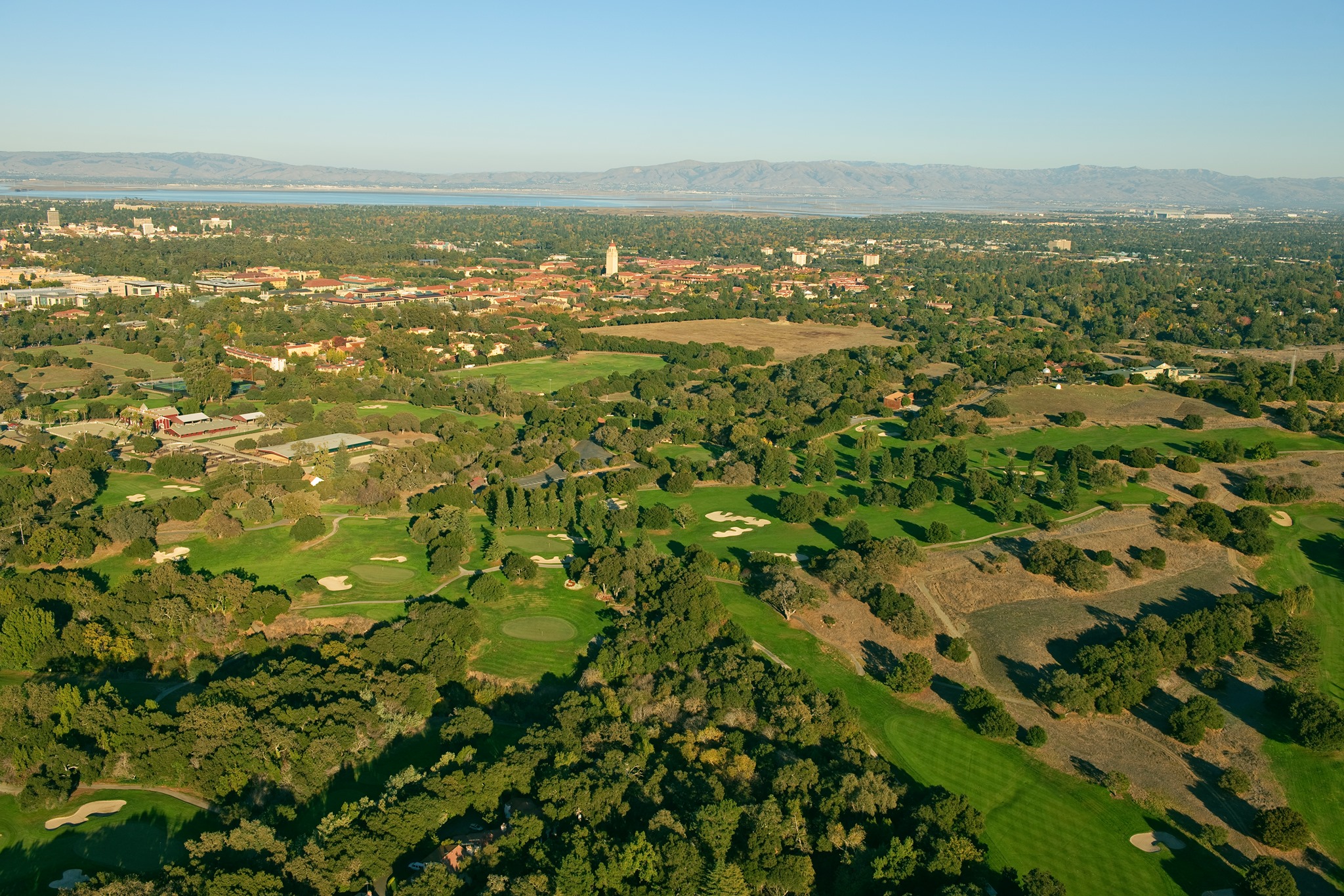 stanford