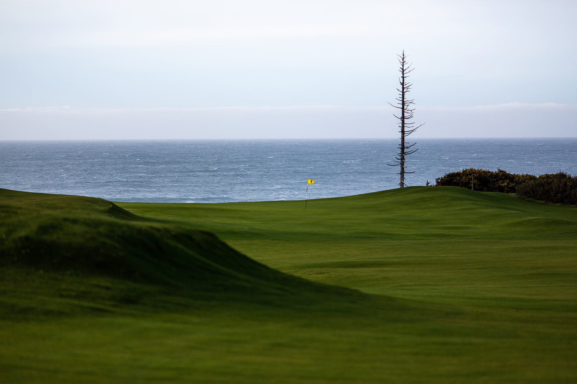 eclectic 18 front nine public golf holes