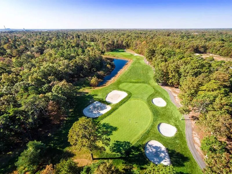 harbor pines