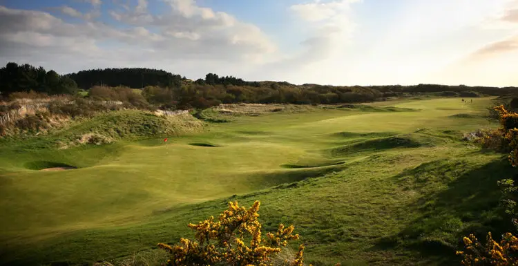 open championship par fives
