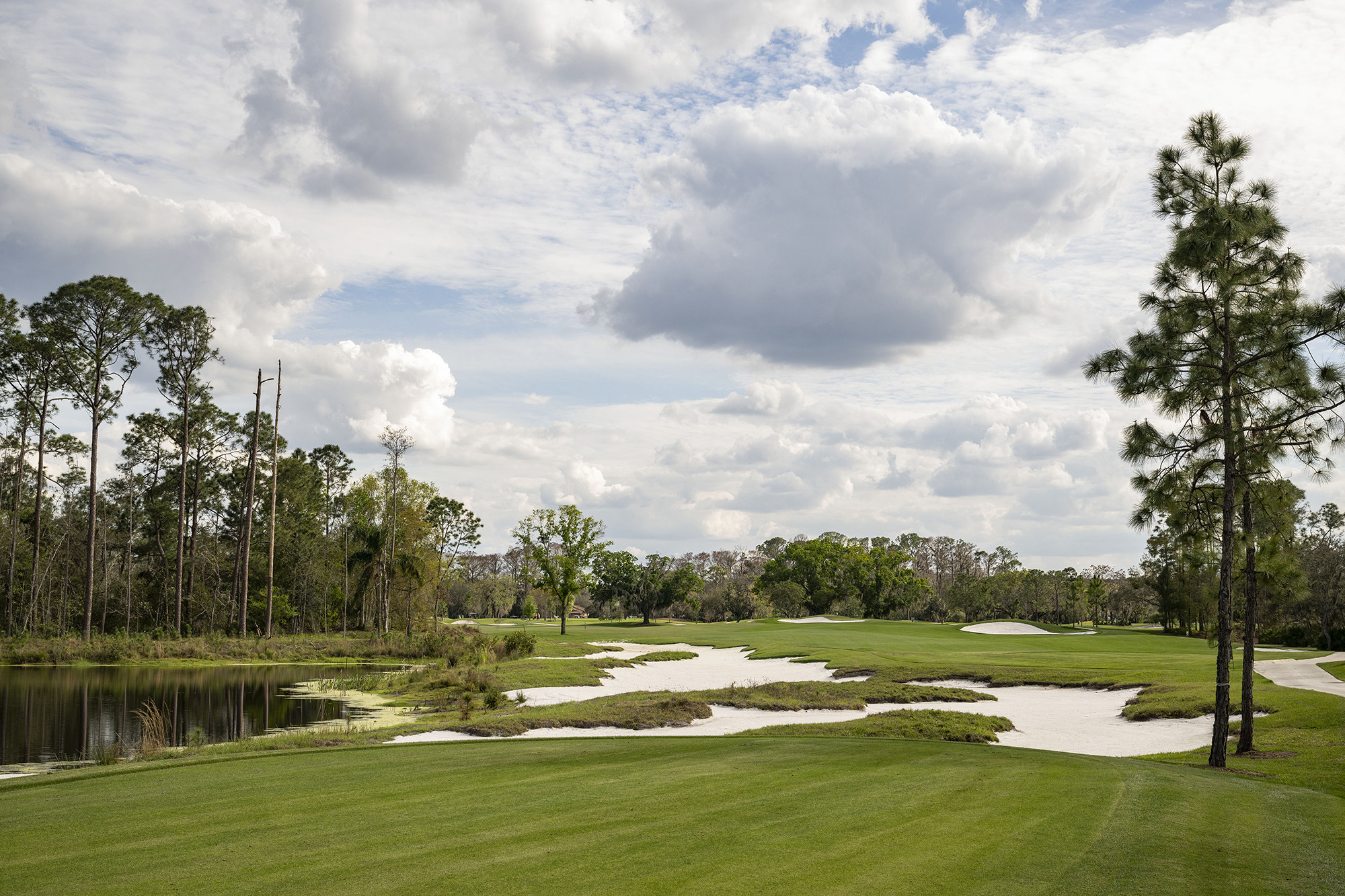 disney golf