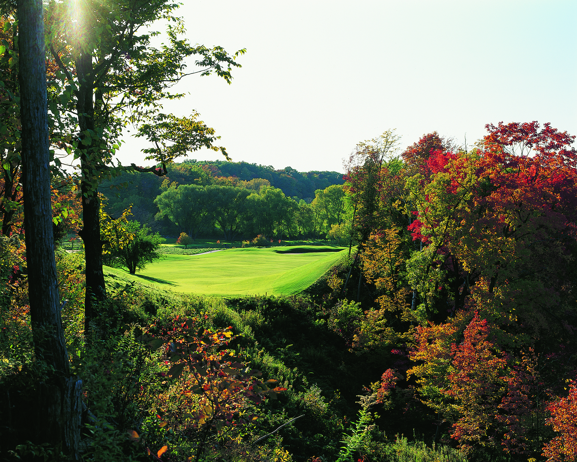 scary tee shots