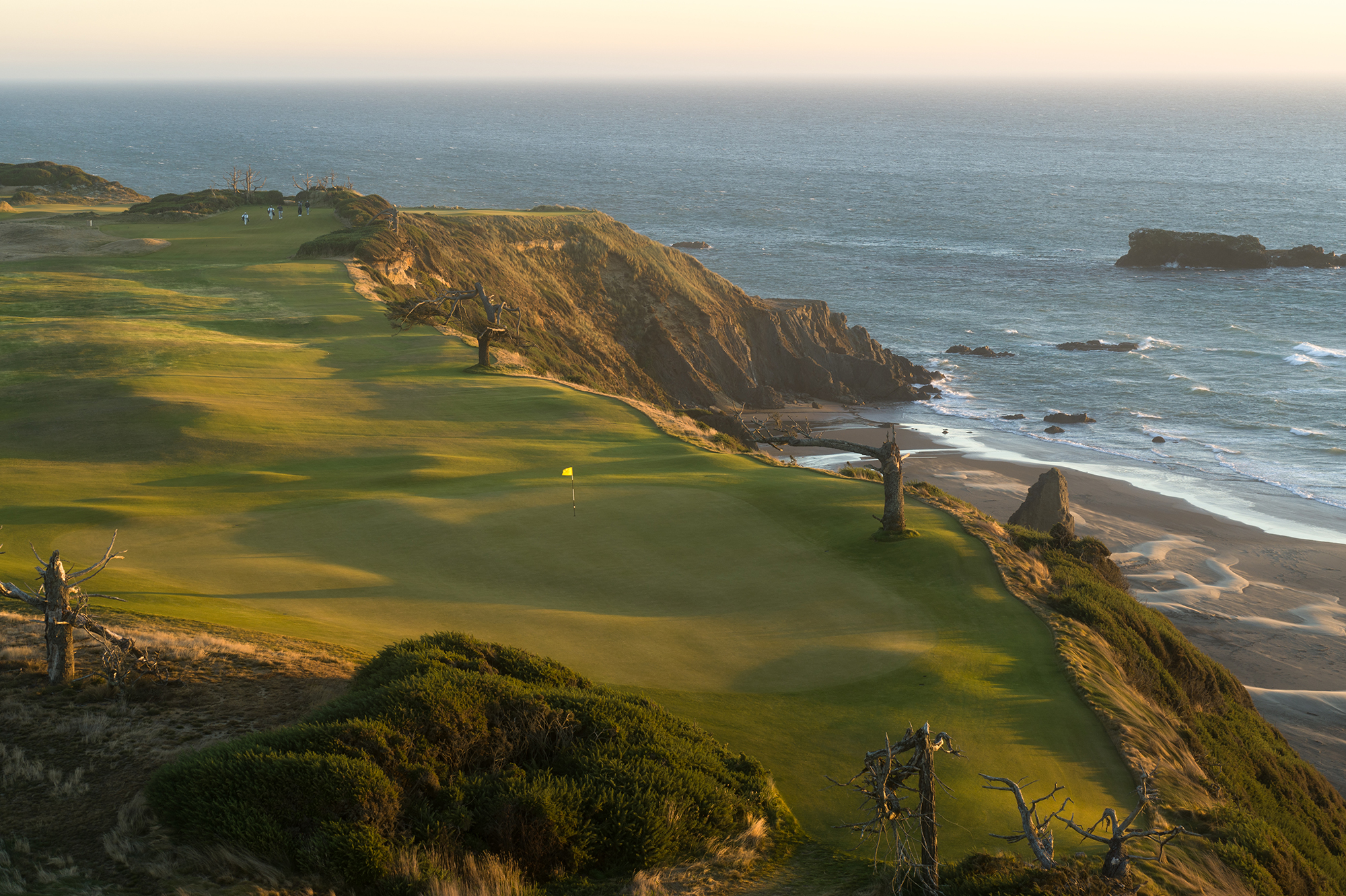 tee shots golf
