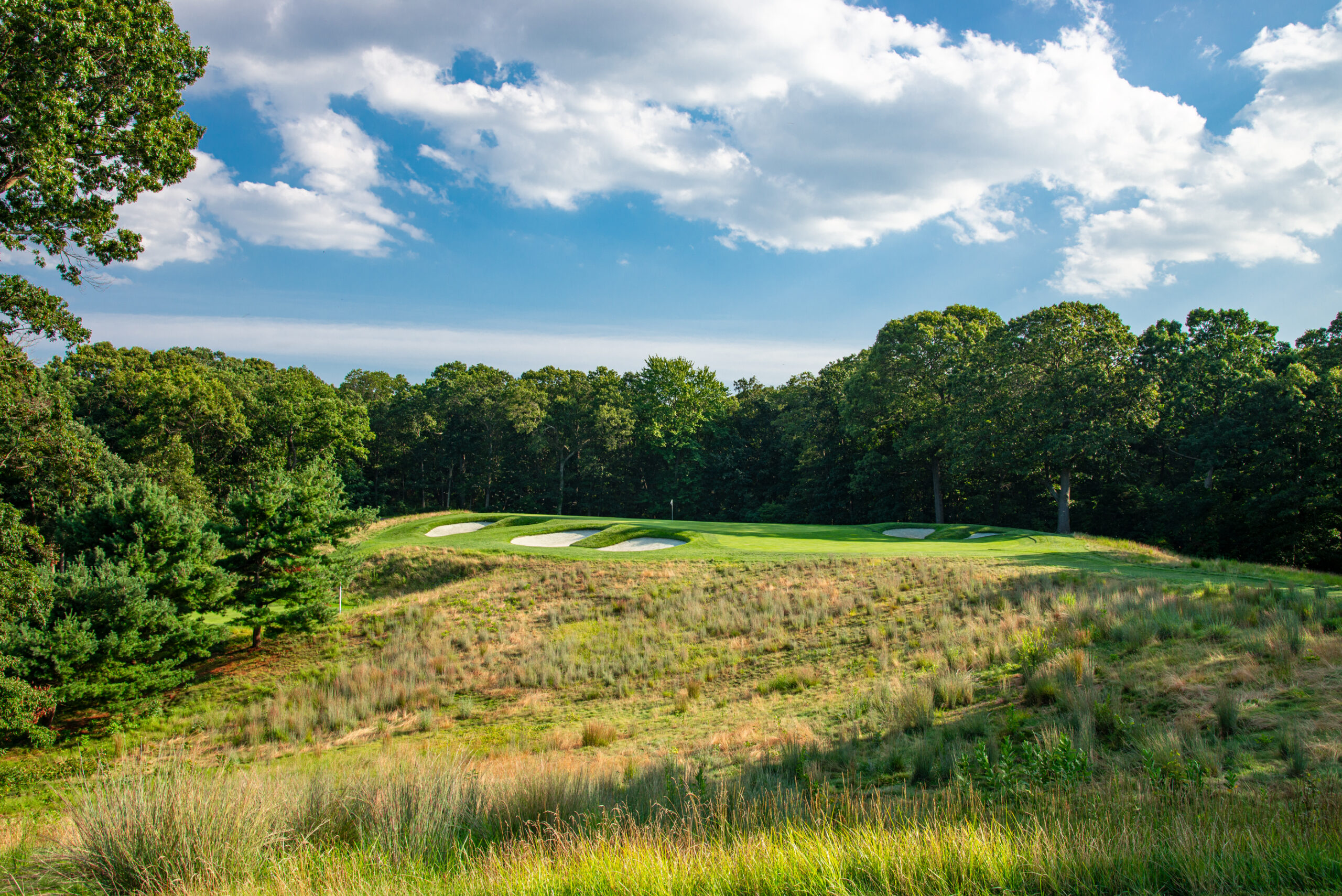 bethpage black