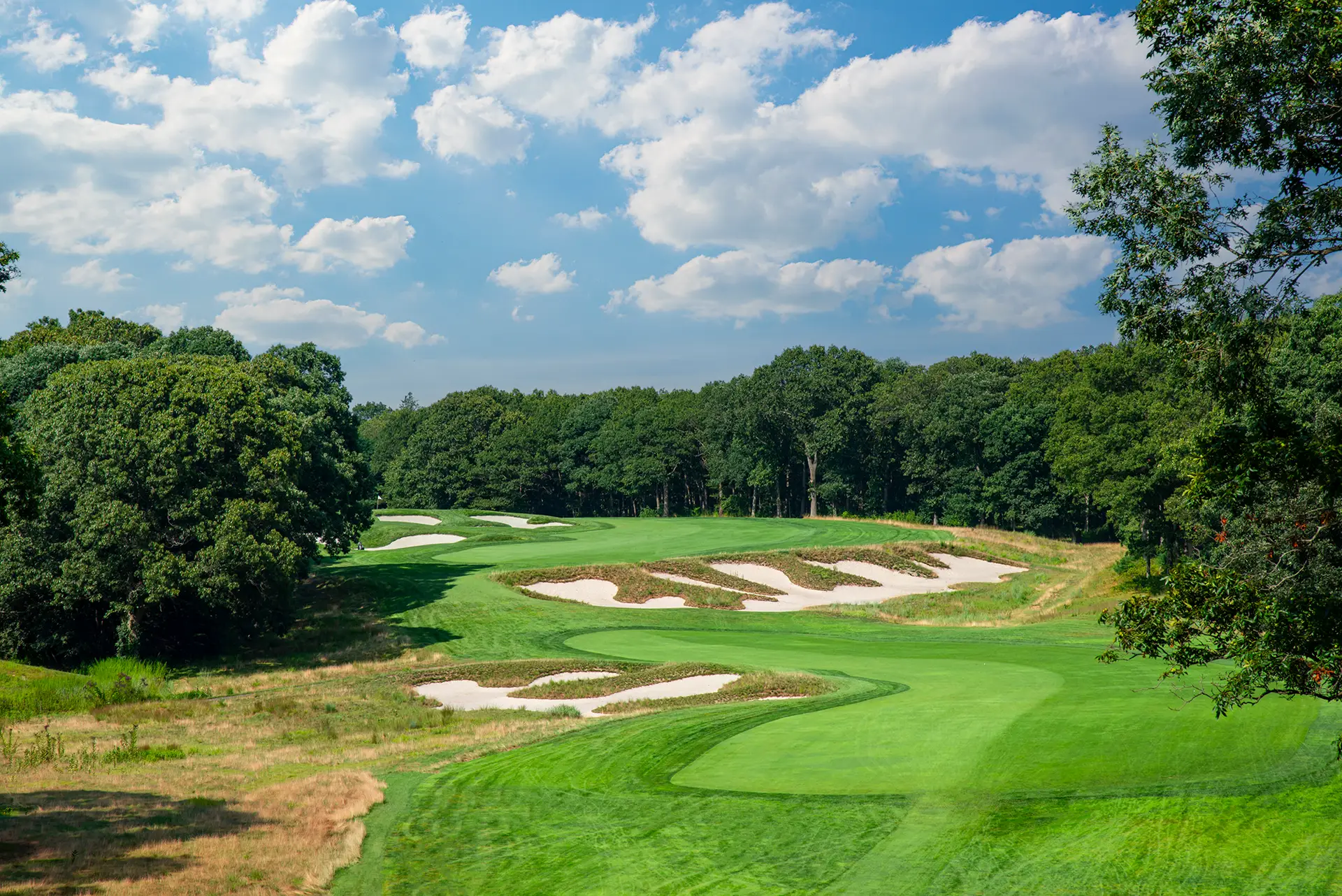 bethpage black
