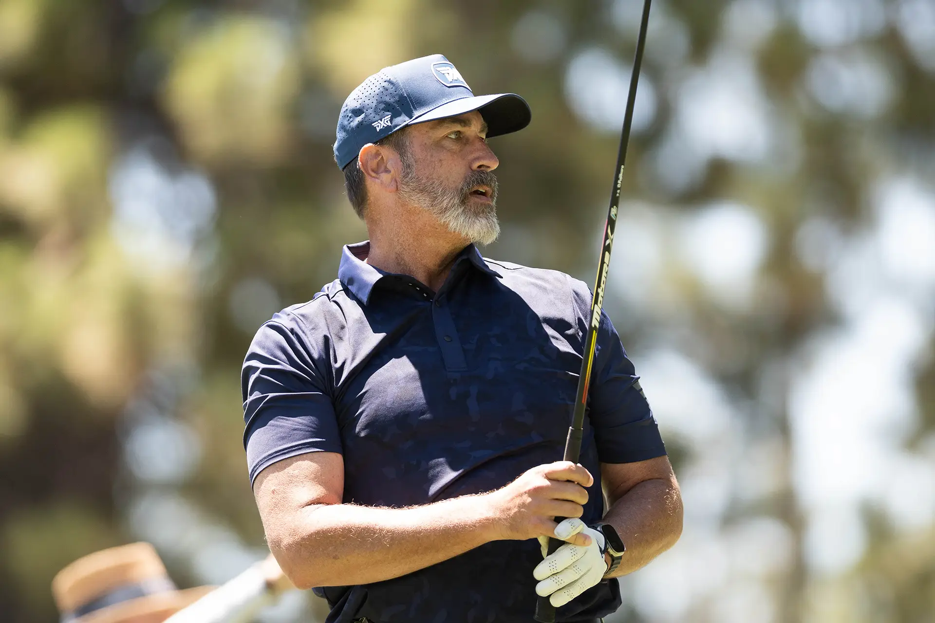 celebrity golf