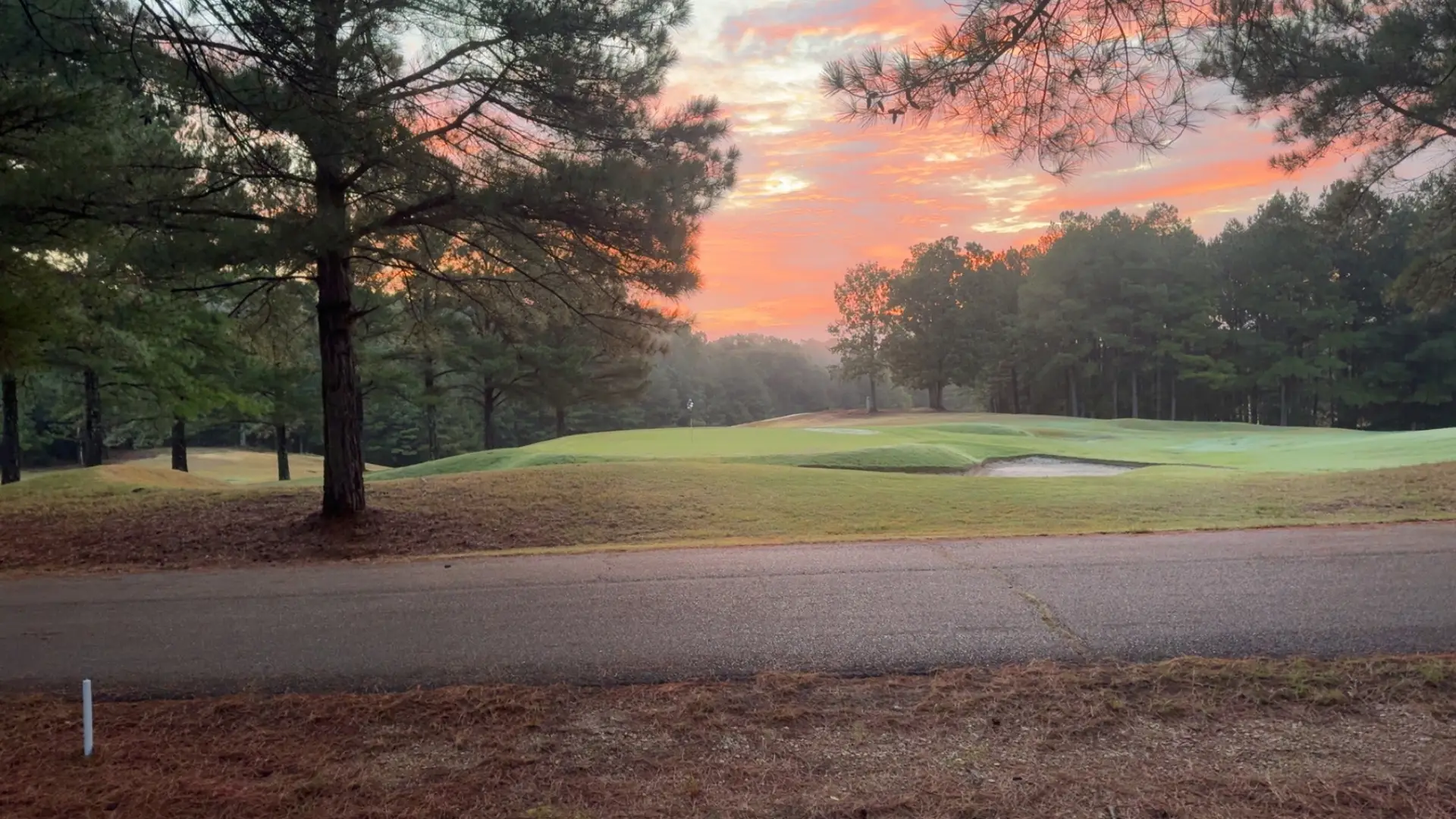 mallard pointe