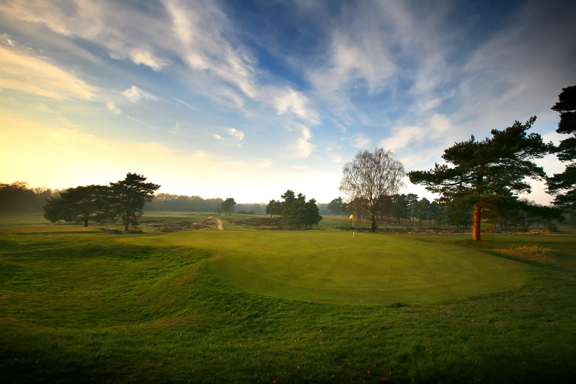 walton heath ryder cup