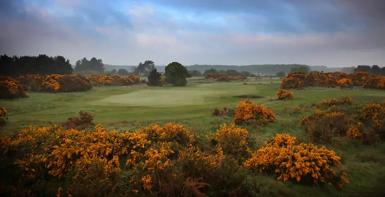 ryder cup courses ranked