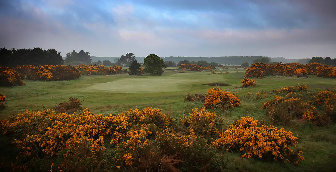 ryder cup courses ranked