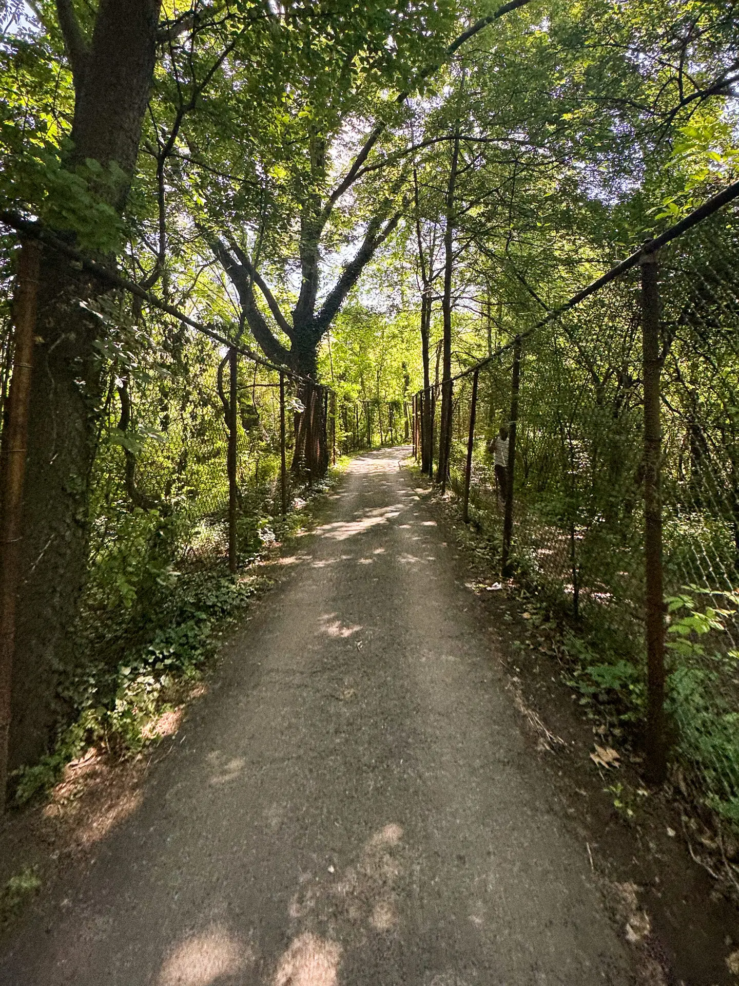 New York City Golf courses