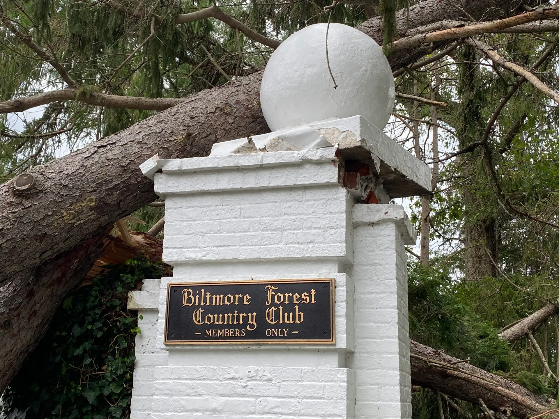 biltmore forest