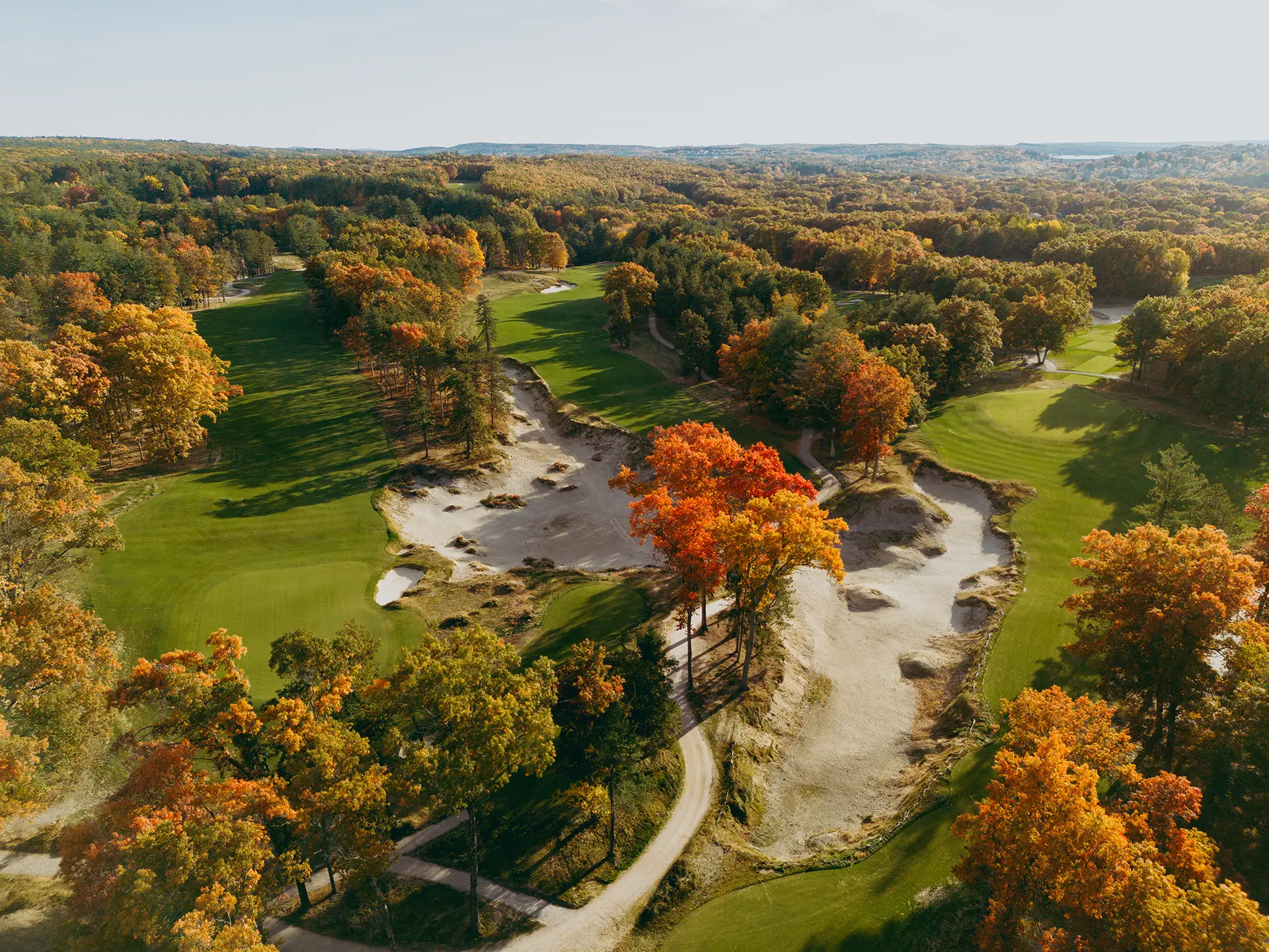 the pines international