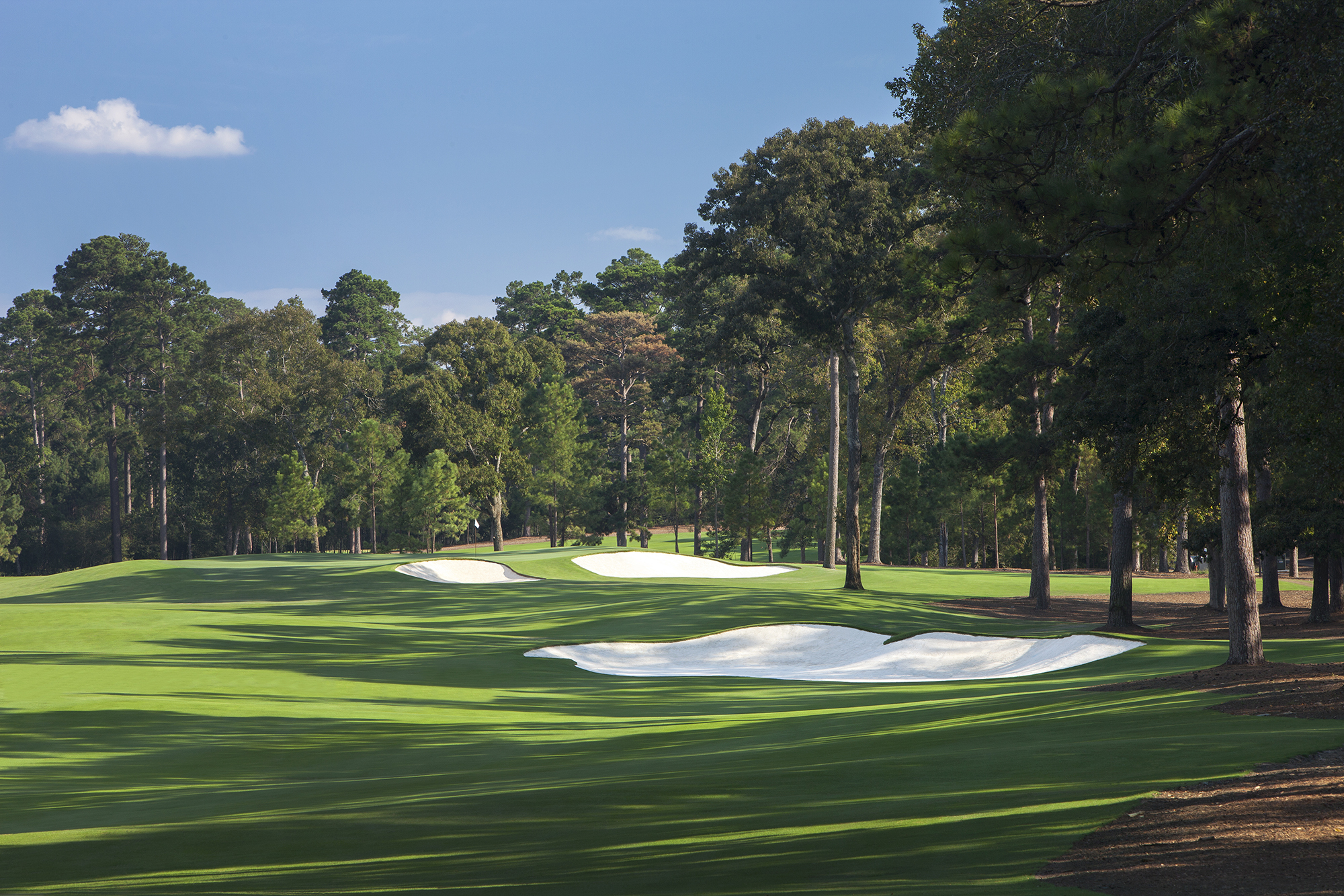 bluejack national