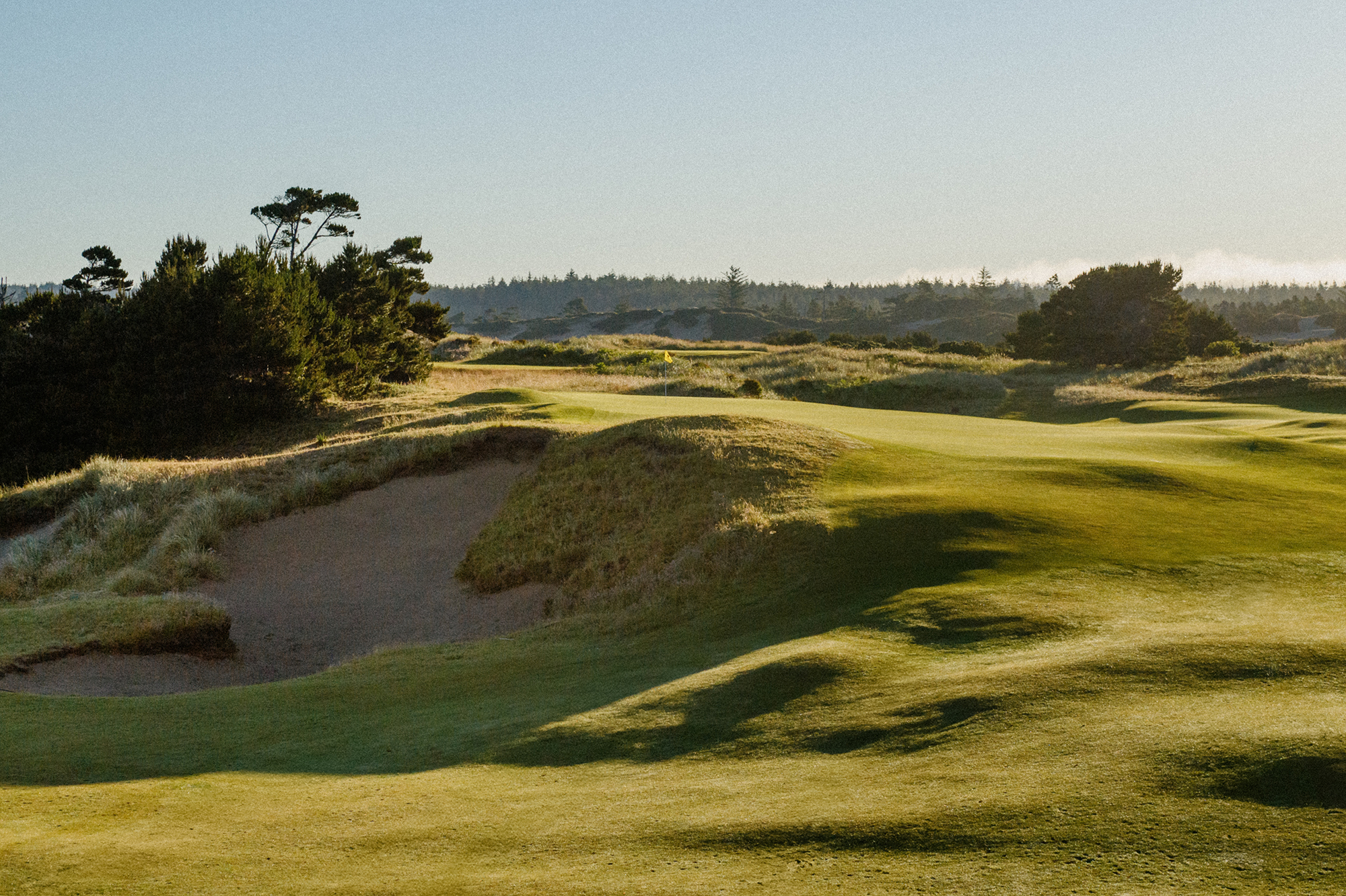 pacific dunes