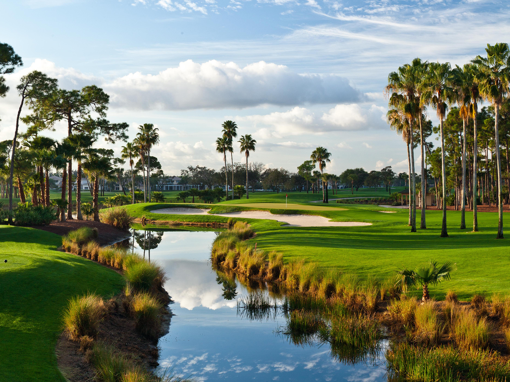 the palm beaches golf