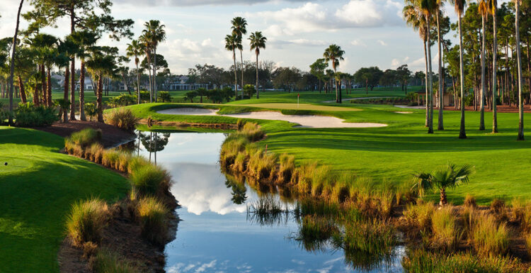 palm beach courses